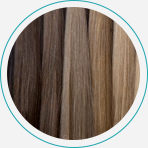 Color Guide